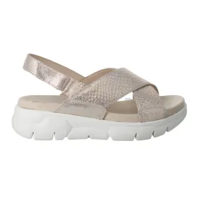 JOSEF SEIBEL Wonder 02